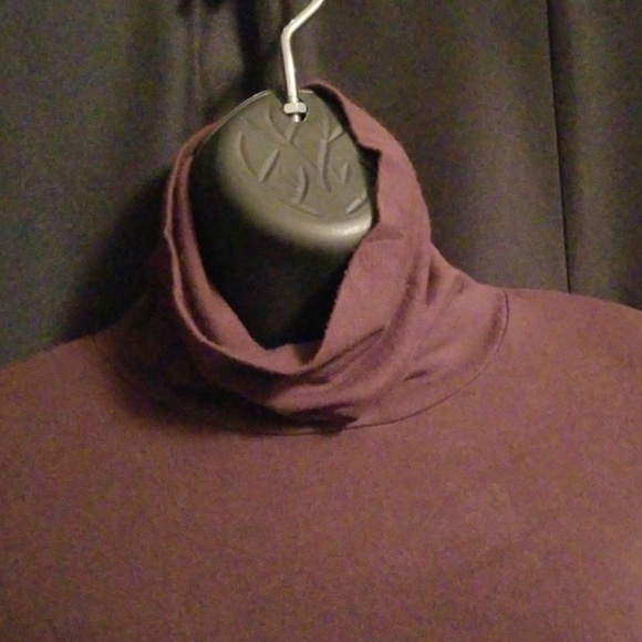The Limited Brown Turtleneck - Picture 3 of 7